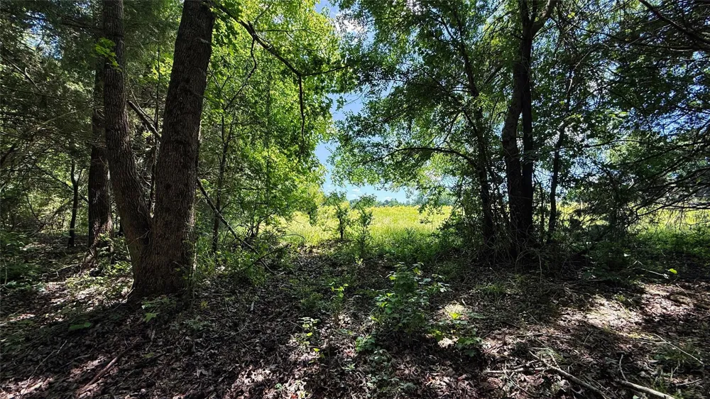 4 County Road 477 Henderson, TX 75654