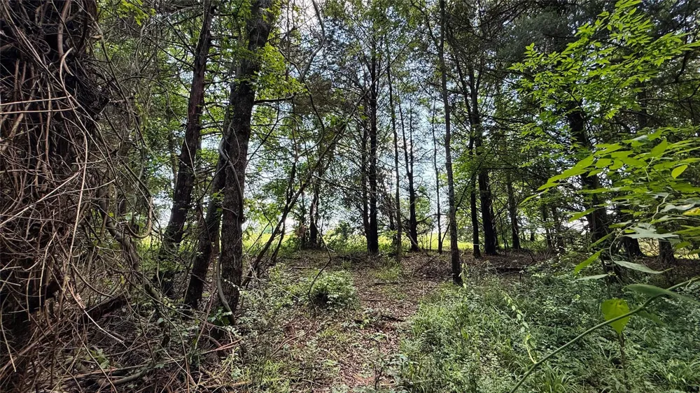 4 County Road 477 Henderson, TX 75654
