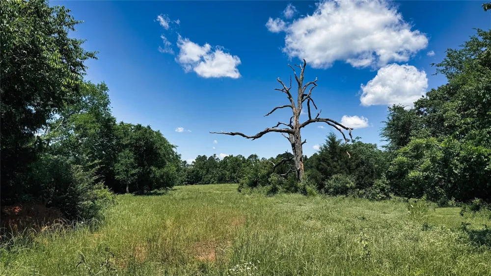 4 County Road 477 Henderson, TX 75654