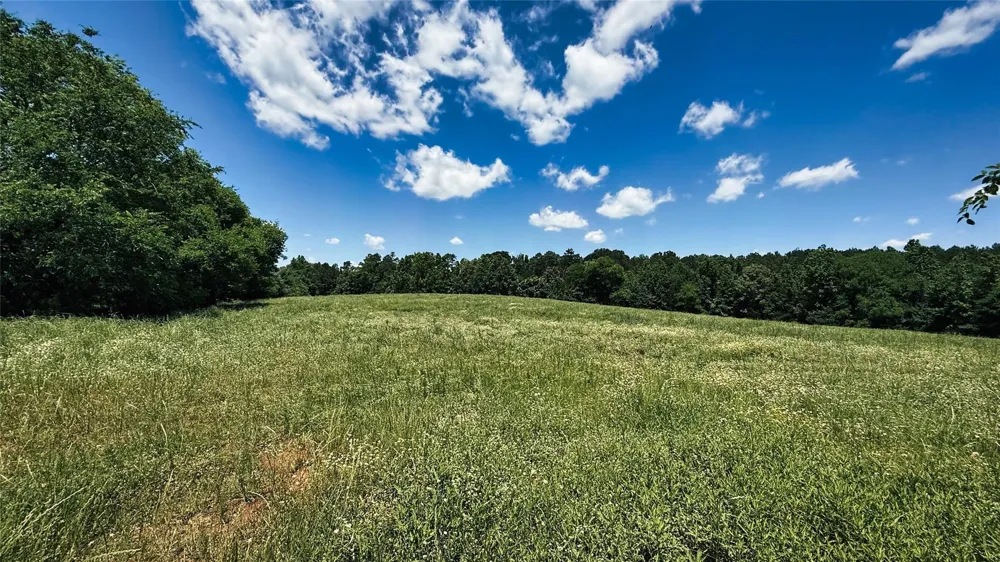 4 County Road 477 Henderson, TX 75654