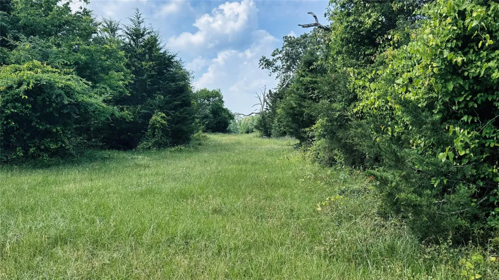 4 County Road 477 Henderson, TX 75654