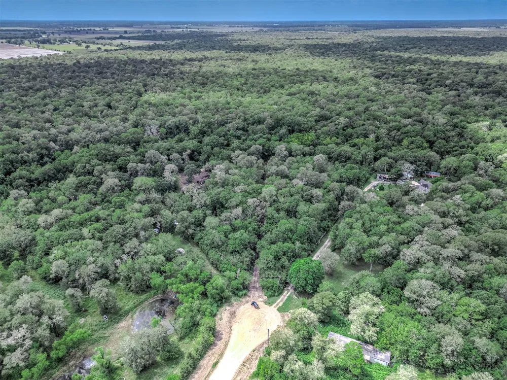 1 Citeaux Lane Needville, TX 77461
