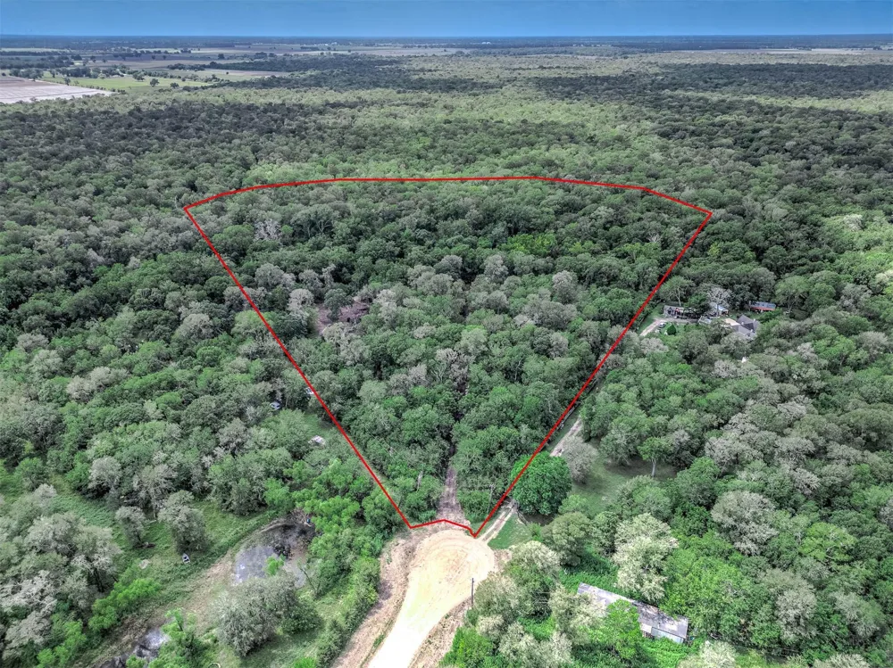 1 Citeaux Lane Needville, TX 77461