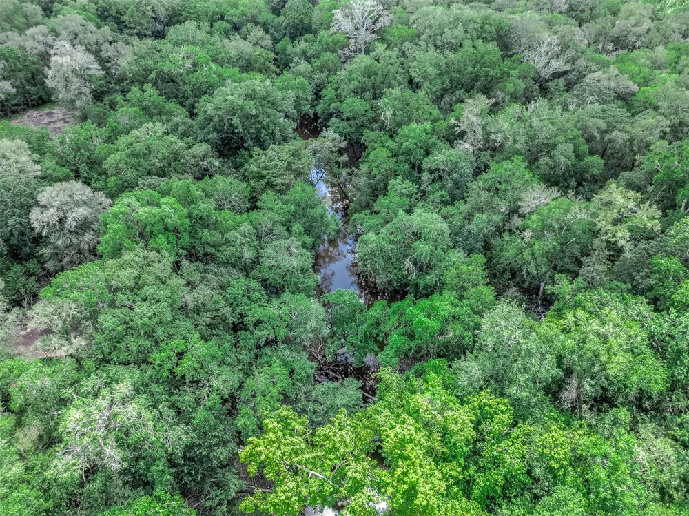 1 Citeaux Lane Needville, TX 77461