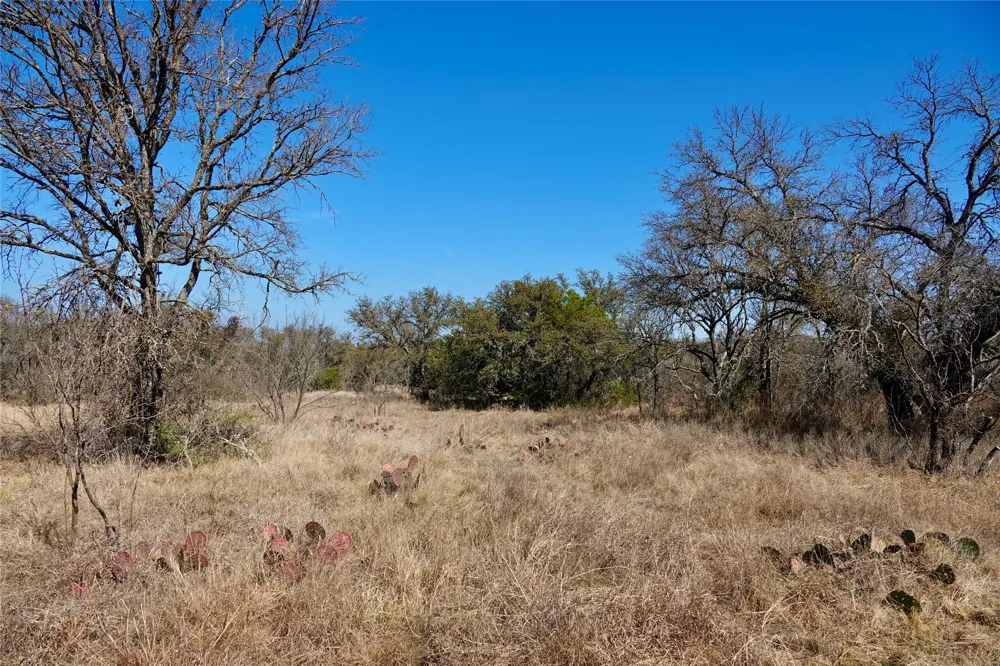 219 CR 550 Mullin, TX 76864