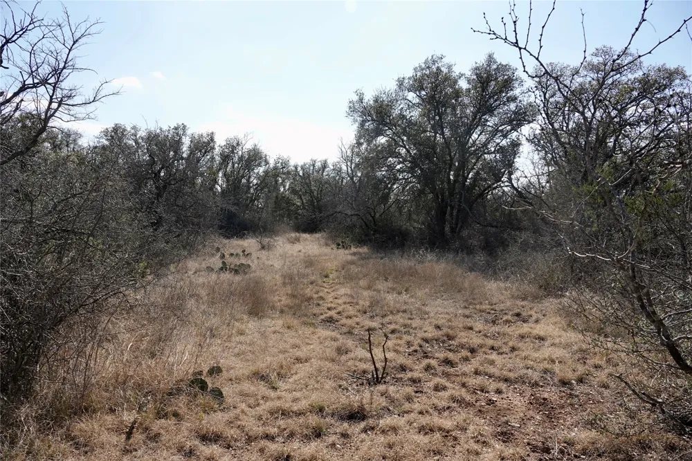 219 CR 550 Mullin, TX 76864