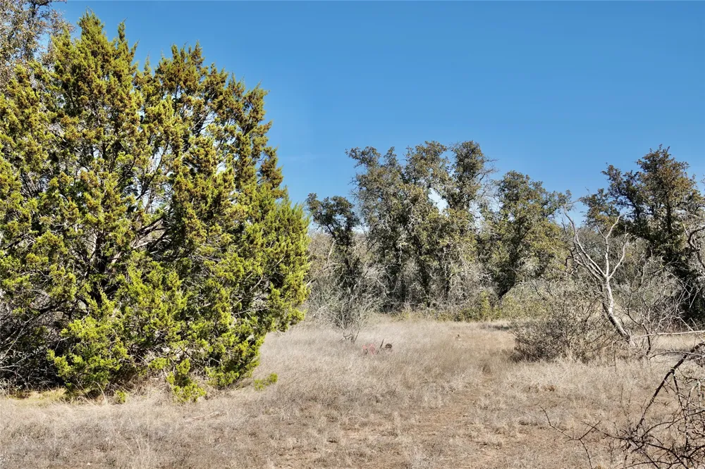 219 CR 550 Mullin, TX 76864