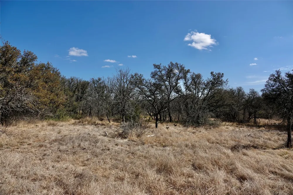 219 CR 550 Mullin, TX 76864