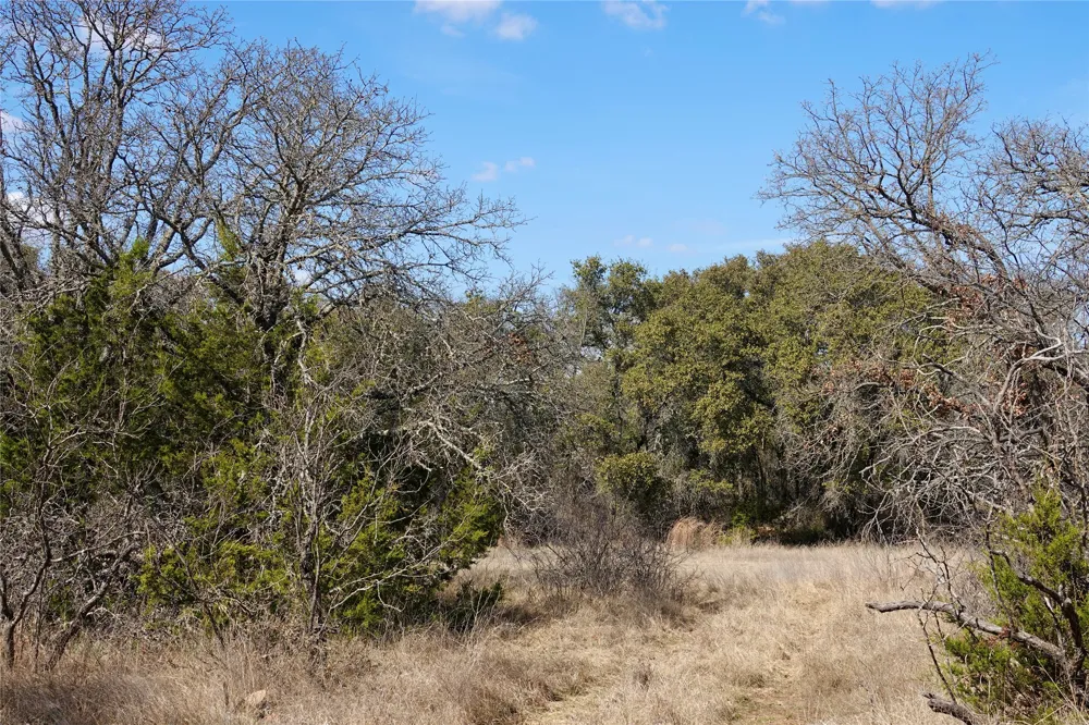 219 CR 550 Mullin, TX 76864