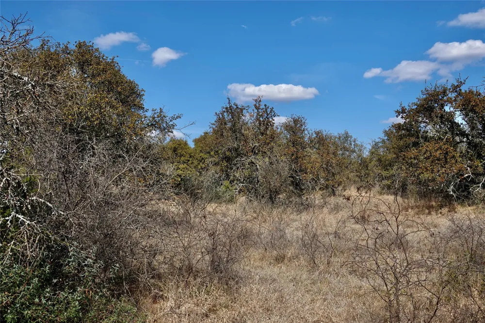 219 CR 550 Mullin, TX 76864