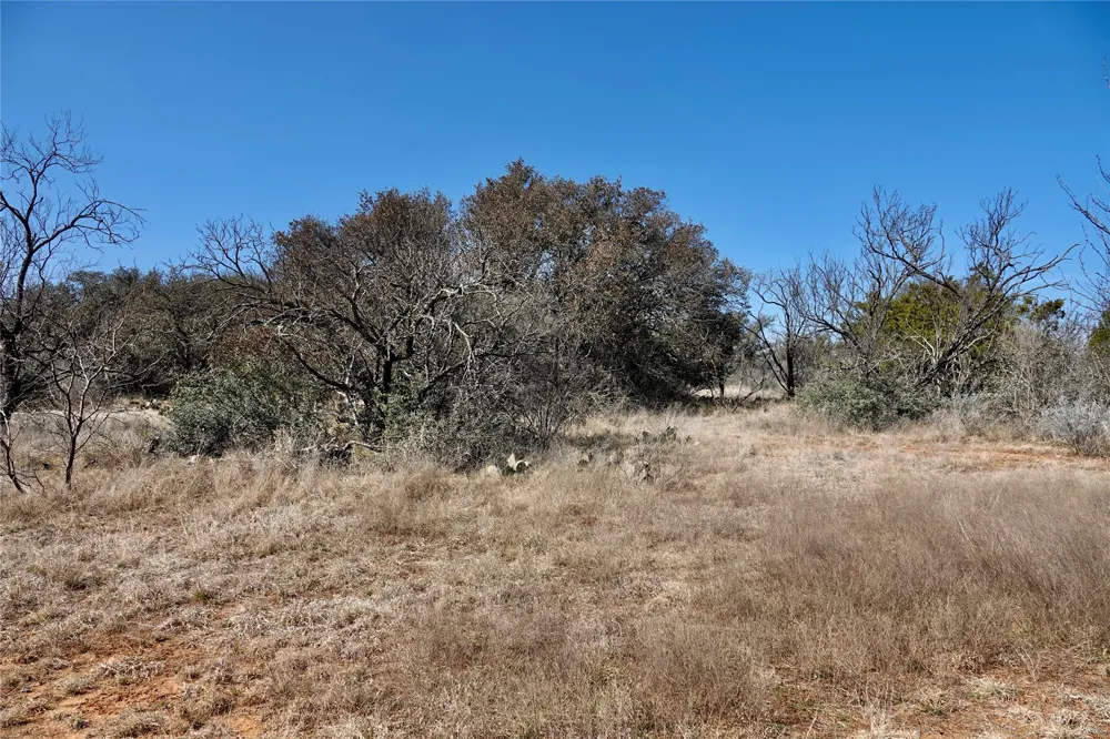 219 CR 550 Mullin, TX 76864
