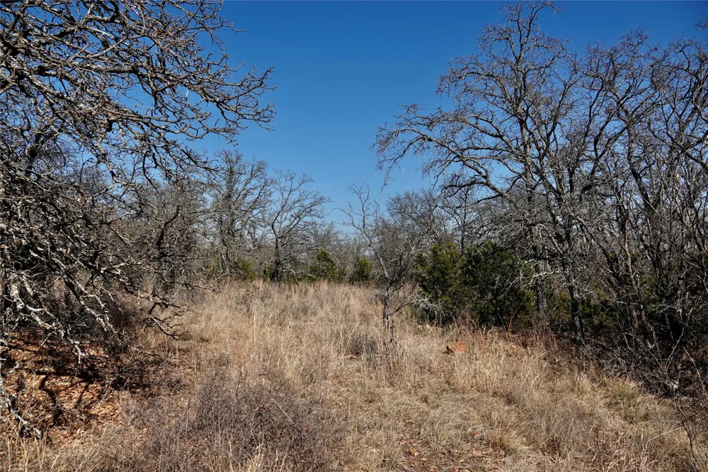 219 CR 550 Mullin, TX 76864