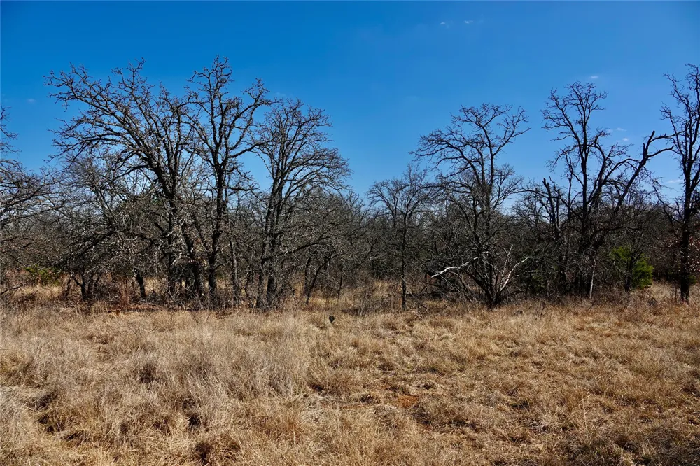 219 CR 550 Mullin, TX 76864