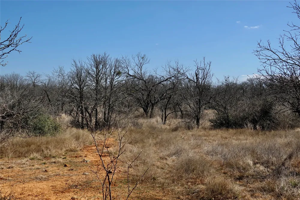 219 CR 550 Mullin, TX 76864