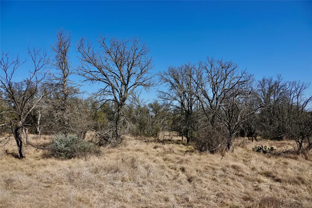 219 CR 550 Mullin, TX 76864