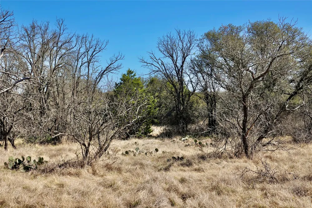 219 CR 550 Mullin, TX 76864