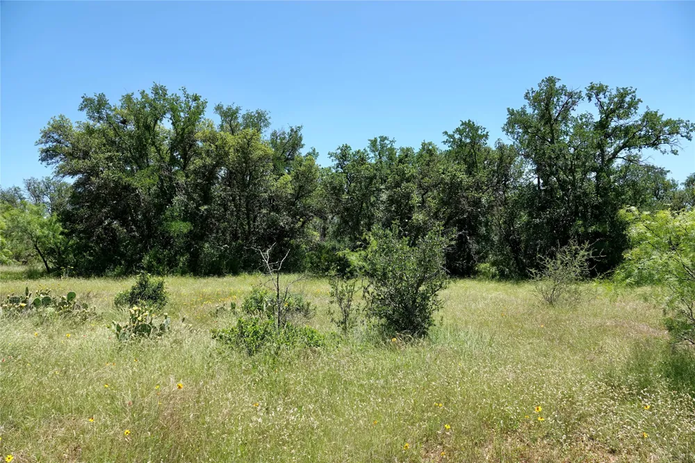 219 CR 550 Mullin, TX 76864