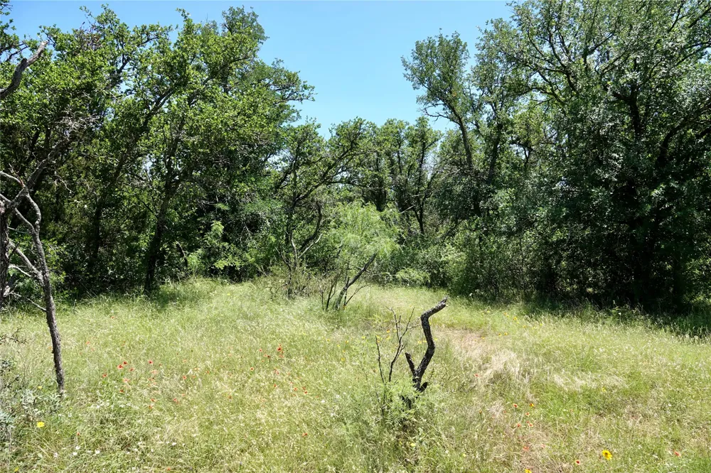 219 CR 550 Mullin, TX 76864
