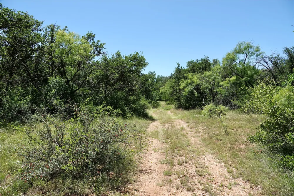 219 CR 550 Mullin, TX 76864