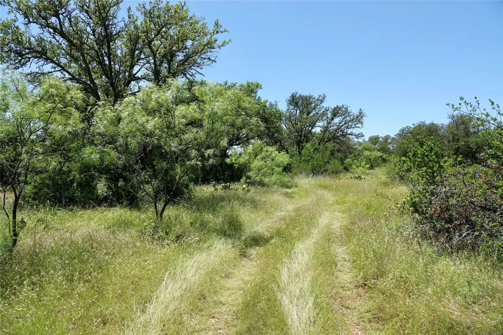219 CR 550 Mullin, TX 76864