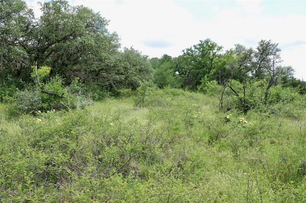 219 CR 550 Mullin, TX 76864