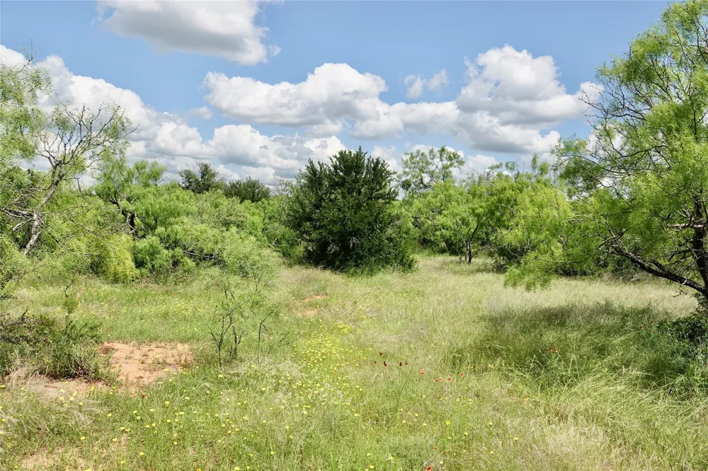 219 CR 550 Mullin, TX 76864