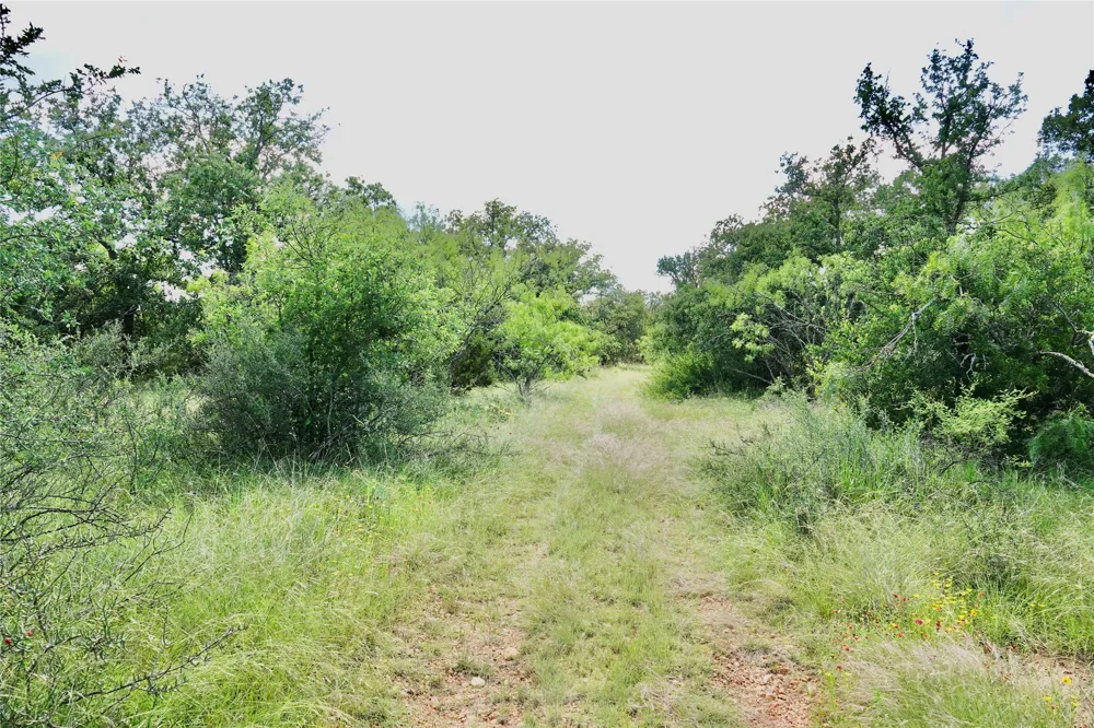 219 CR 550 Mullin, TX 76864