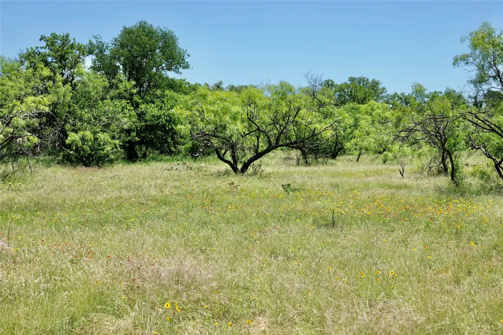 219 CR 550 Mullin, TX 76864