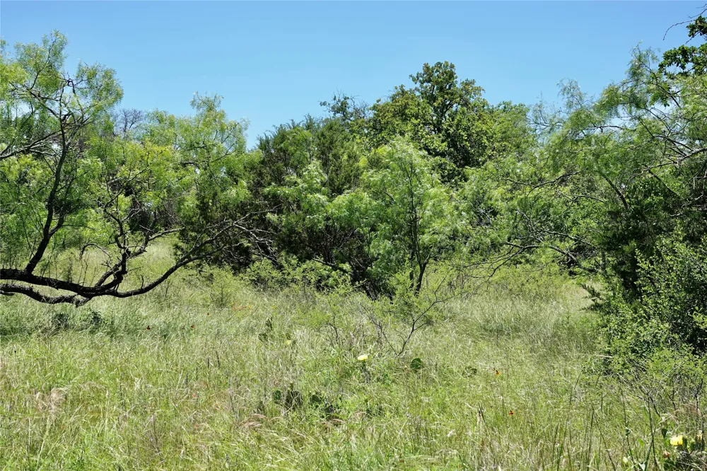 219 CR 550 Mullin, TX 76864