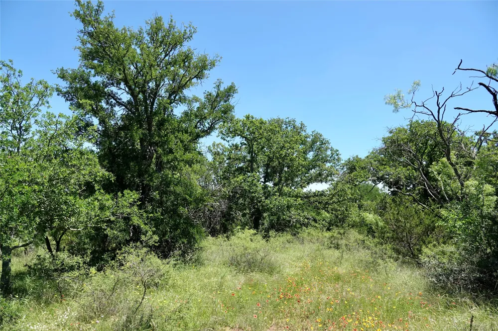 219 CR 550 Mullin, TX 76864