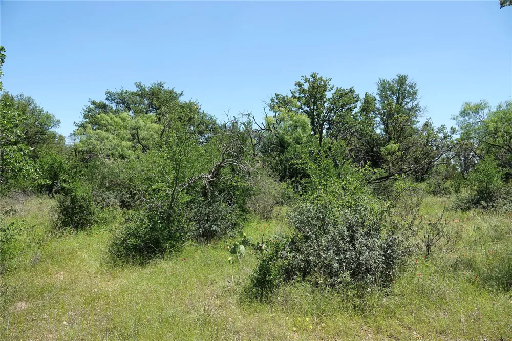 219 CR 550 Mullin, TX 76864