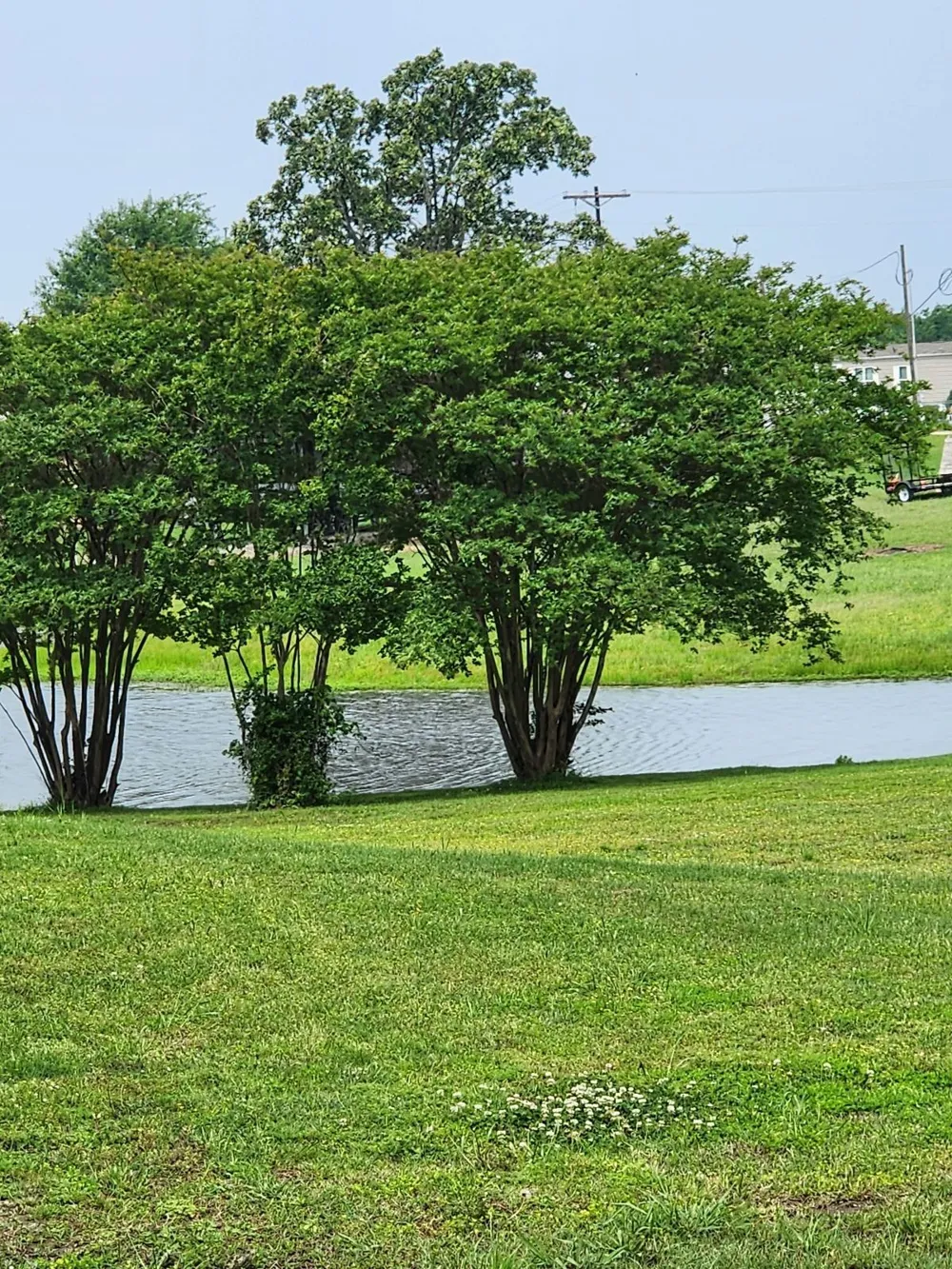 191 Sioux Quitman, TX 75783