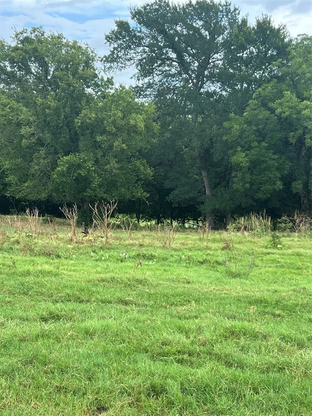 Abel Lane Boyd, TX 76023