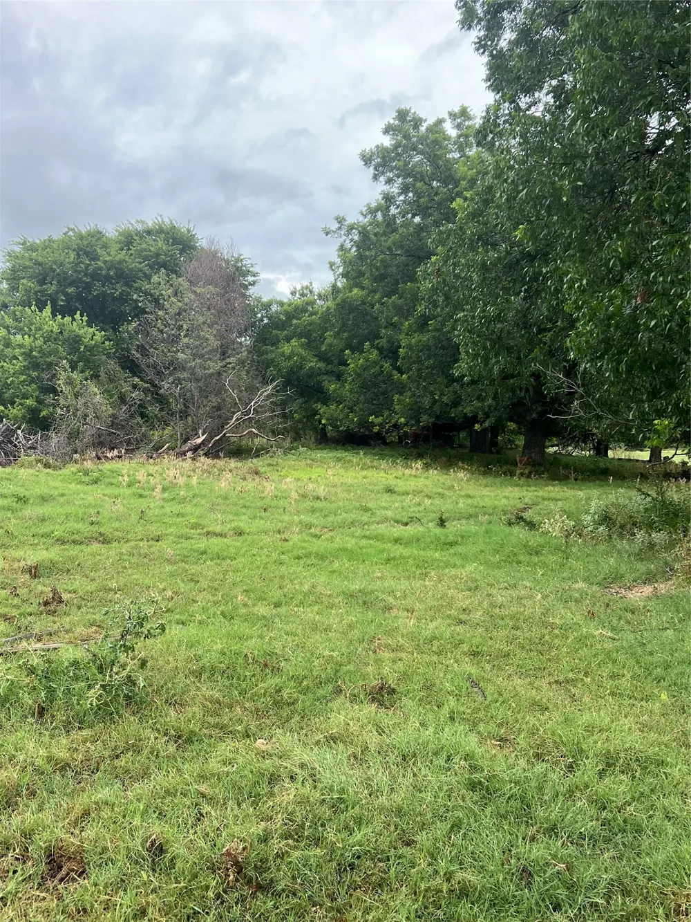 Abel Lane Boyd, TX 76023