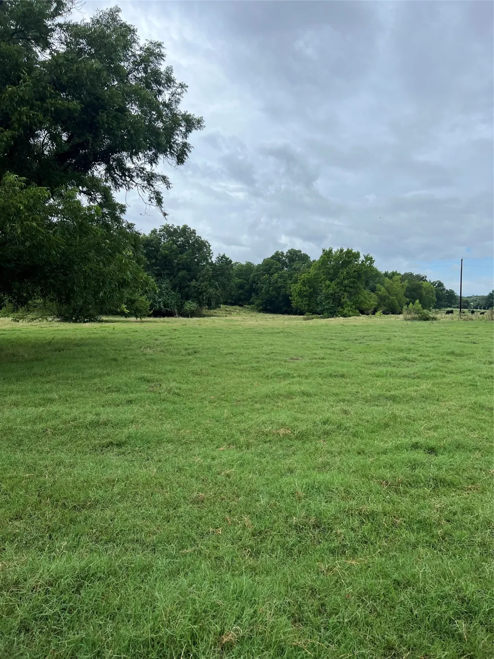 Abel Lane Boyd, TX 76023