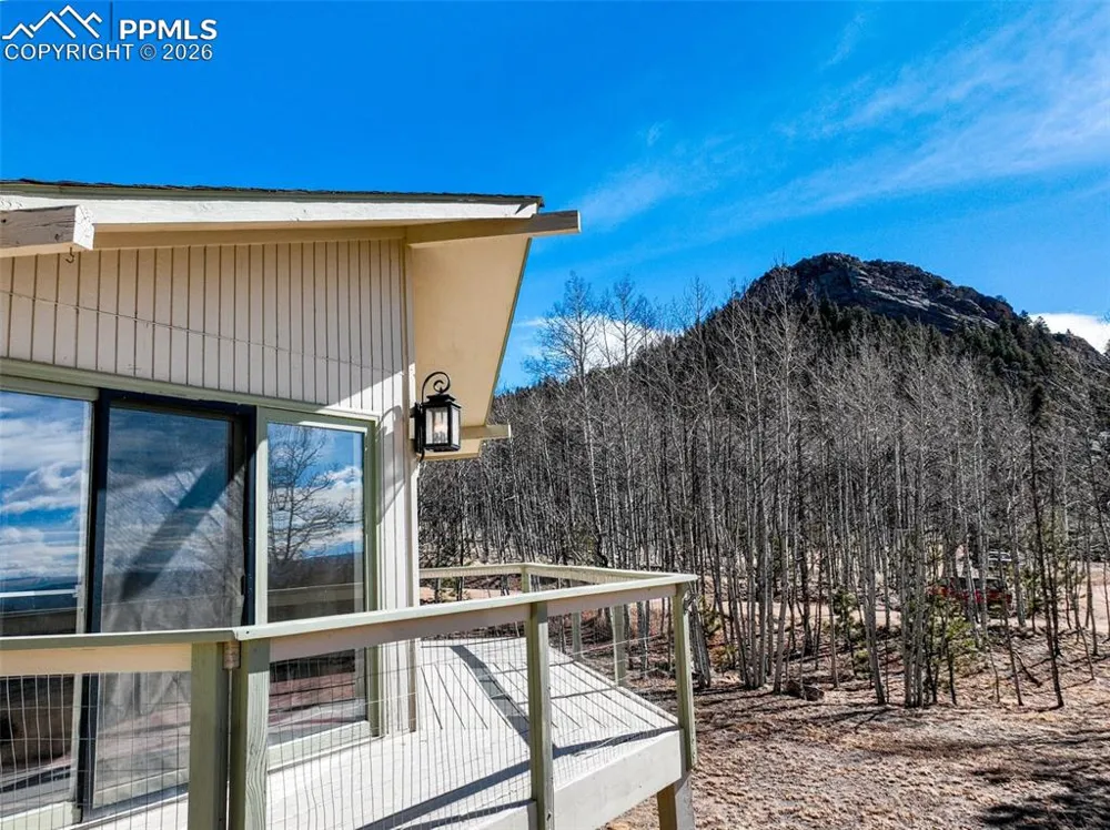 1874 Vagabond Creek Drive Lake George, CO 80827