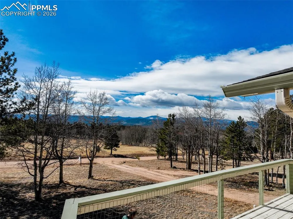 1874 Vagabond Creek Drive Lake George, CO 80827