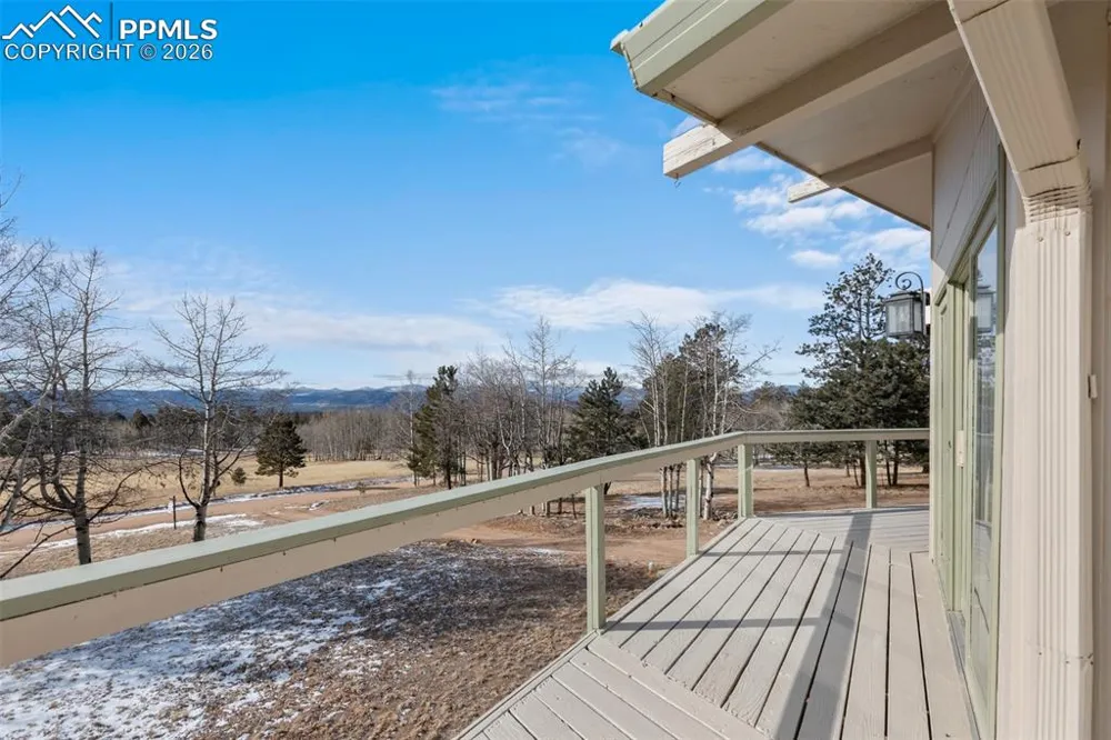 1874 Vagabond Creek Drive Lake George, CO 80827