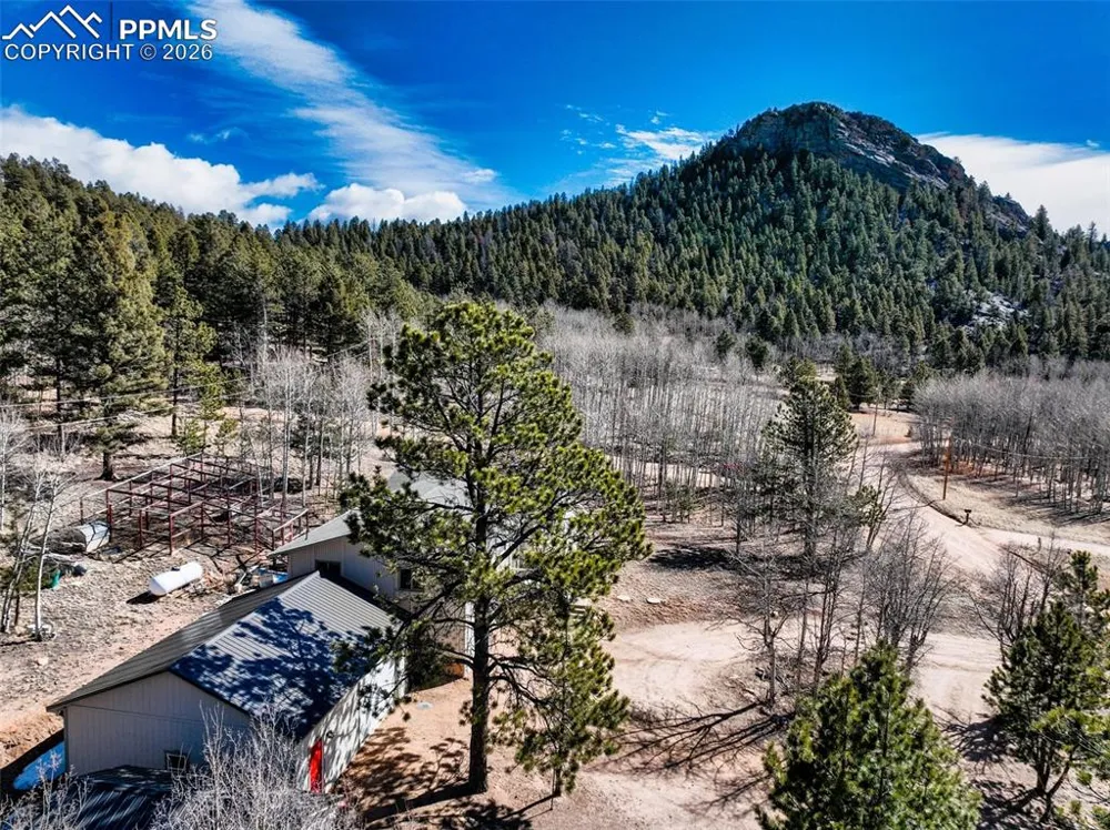 1874 Vagabond Creek Drive Lake George, CO 80827