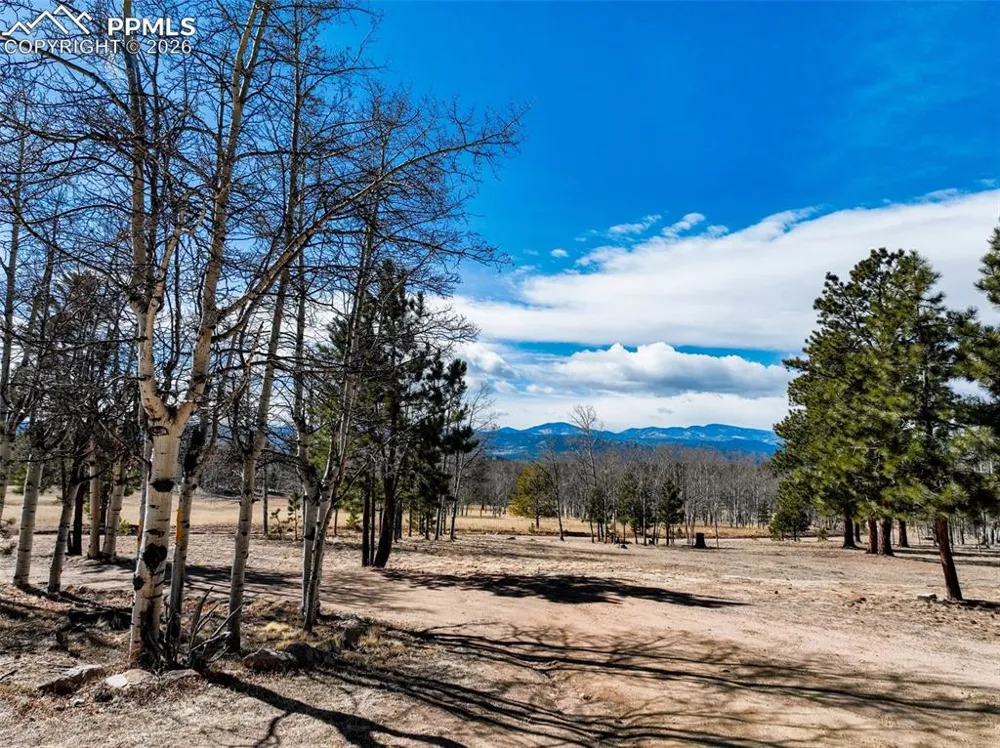 1874 Vagabond Creek Drive Lake George, CO 80827