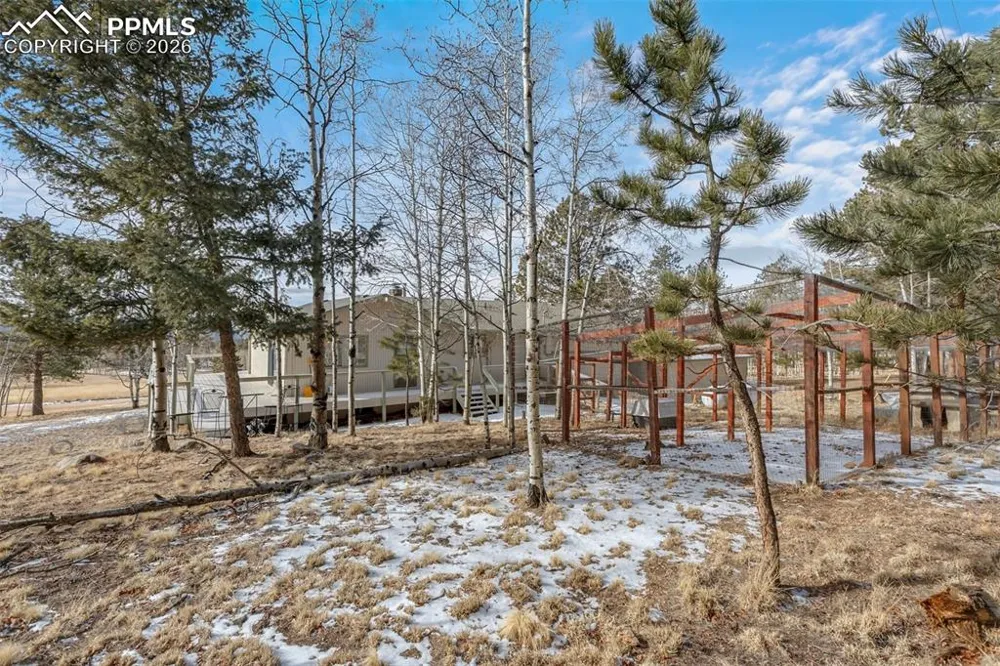 1874 Vagabond Creek Drive Lake George, CO 80827