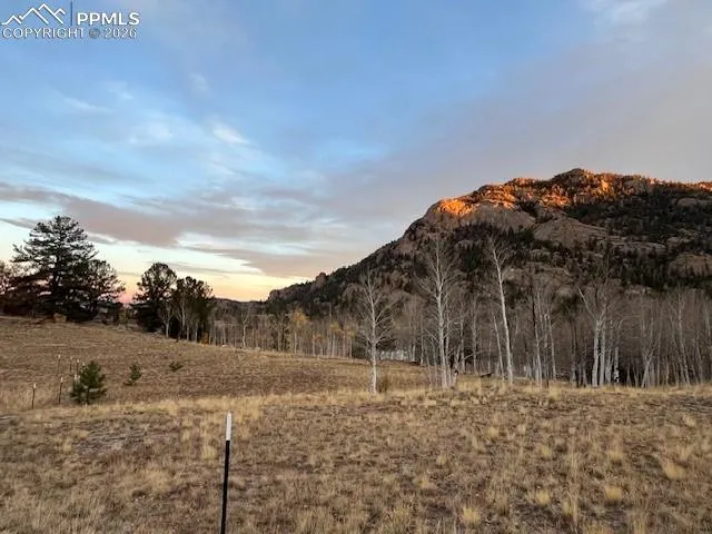 206 Emerald Way Lake George, CO 80827