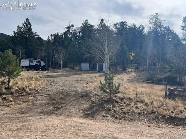 206 Emerald Way Lake George, CO 80827