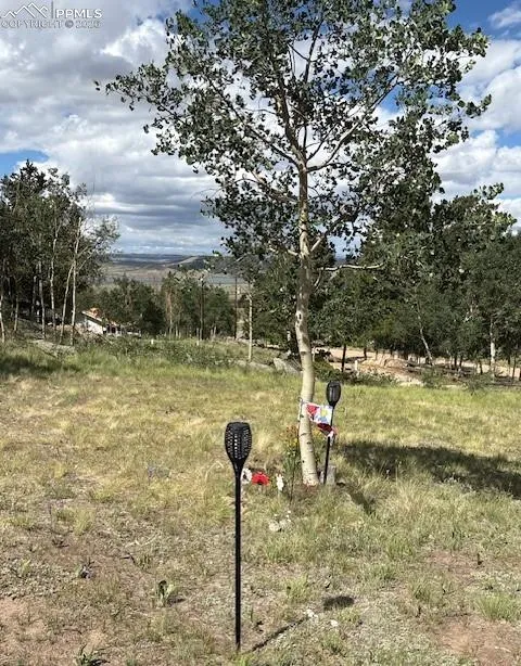 206 Emerald Way Lake George, CO 80827