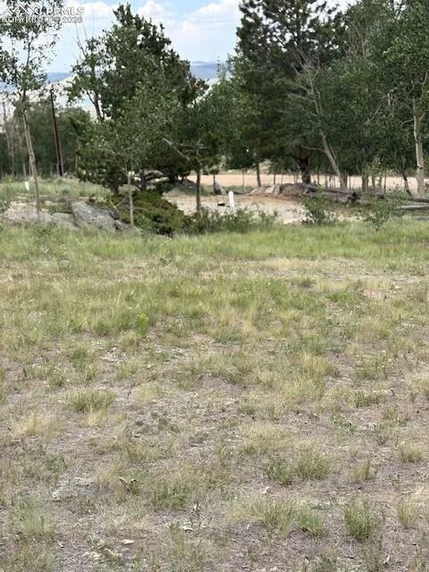 206 Emerald Way Lake George, CO 80827