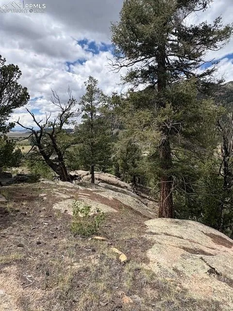 206 Emerald Way Lake George, CO 80827