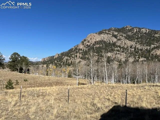 206 Emerald Way Lake George, CO 80827