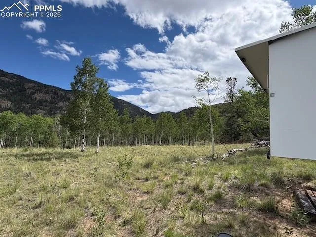206 Emerald Way Lake George, CO 80827