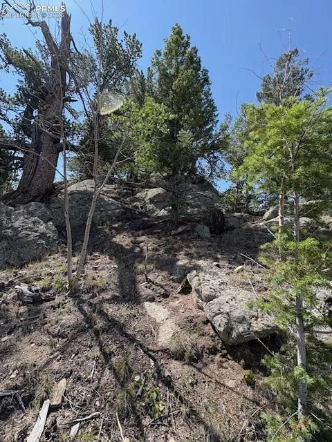 206 Emerald Way Lake George, CO 80827