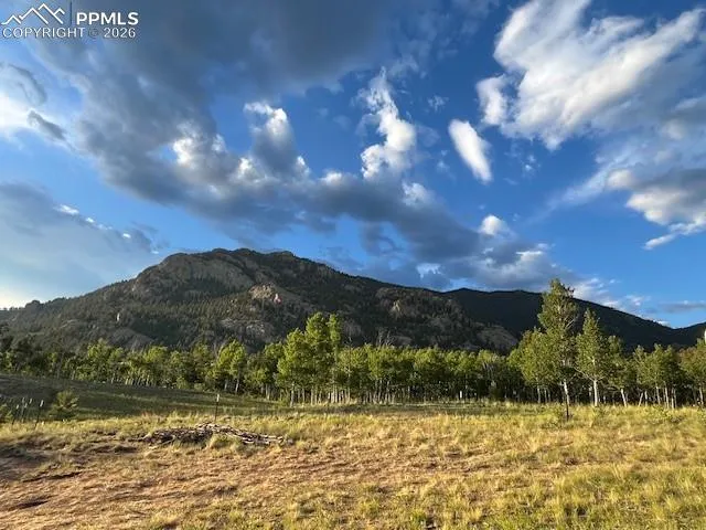 206 Emerald Way Lake George, CO 80827